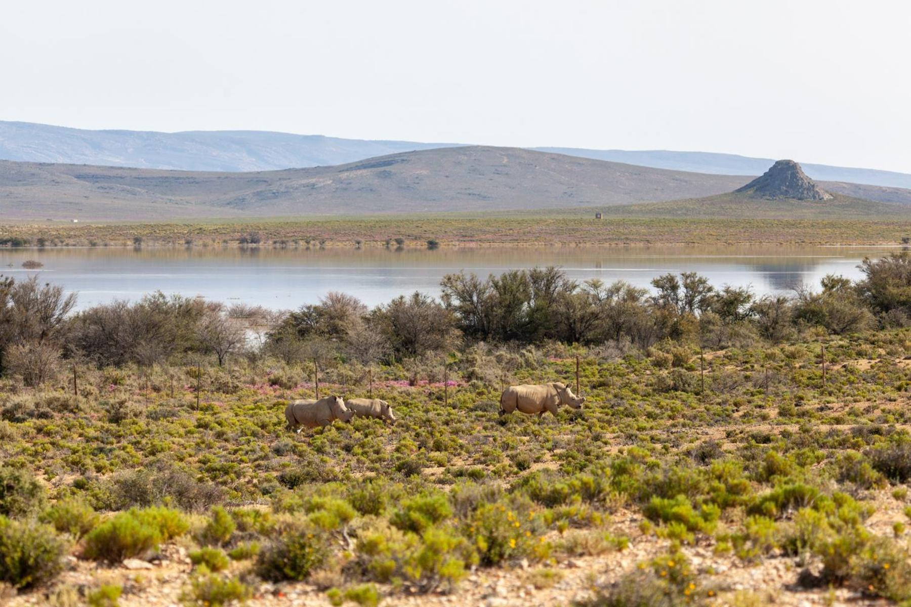 Inverdoorn Game Reserve Lodge Breede River Exteriér fotografie